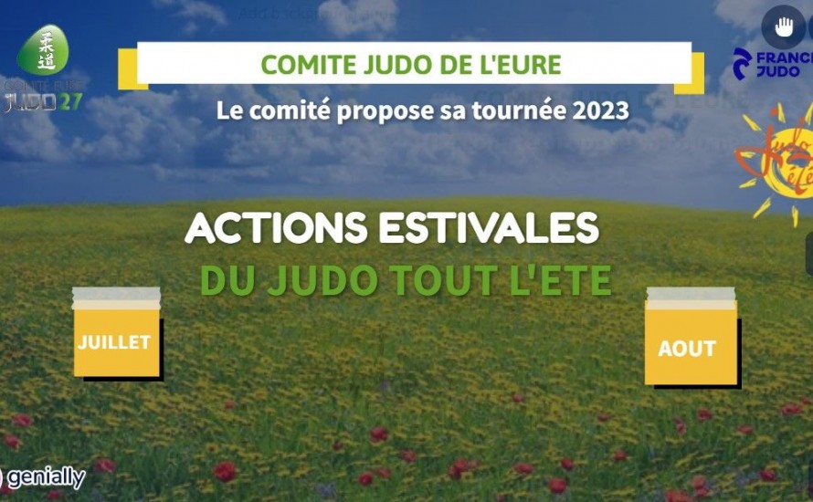 ACTIONS JUDO ETE - PLANNING D'ANIMATIONS